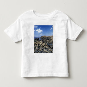 Giants Causeway, Landkreis Antrim, Nord Kleinkind T-shirt