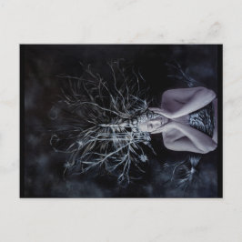 GIAWIL Wise Gray Postkarte