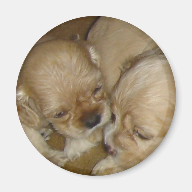 Gib mir einen Kuss Magnet (Vorne)