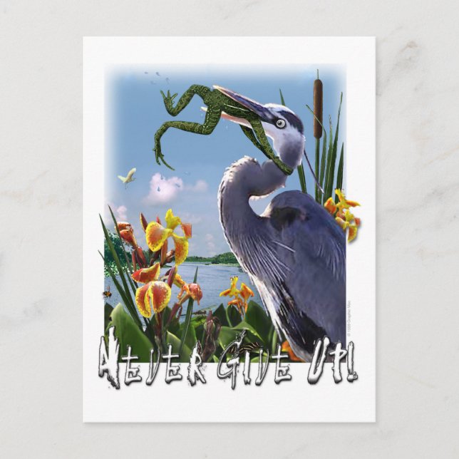 Gib nie auf! postkarte (Vorderseite)