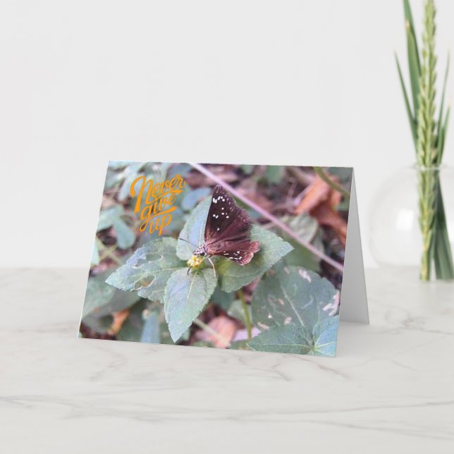 Gib niemals die blanke Schmetterlingsgrusskarte au Karte (Vorderseite)