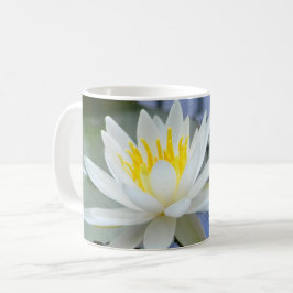 Gib niemals die Wasserlilie auf Kaffeetasse