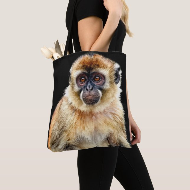 Gibbon (Von Nahem)