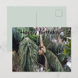 Gibbon hängt einfach herum, Geburtstagskarte Postkarte