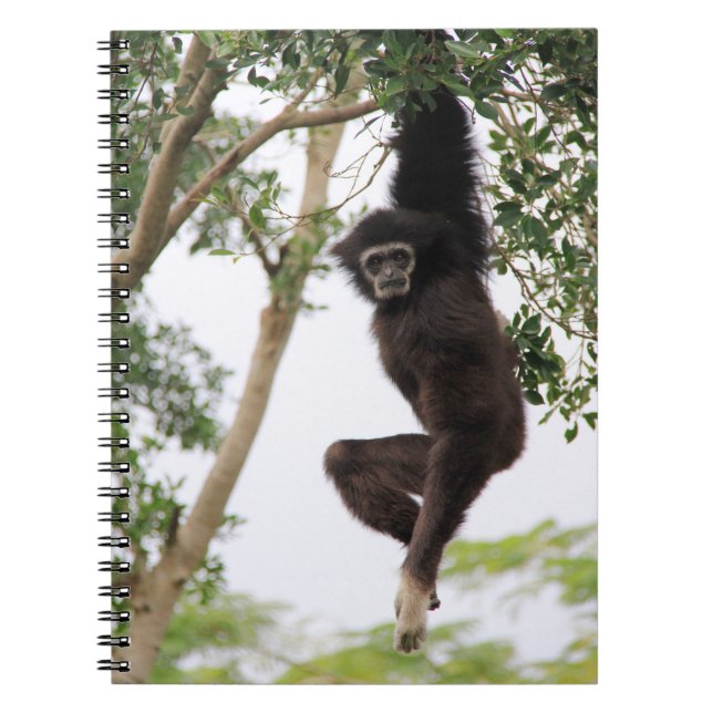 Gibbon schwingt von Baum Notizblock (Vorderseite)