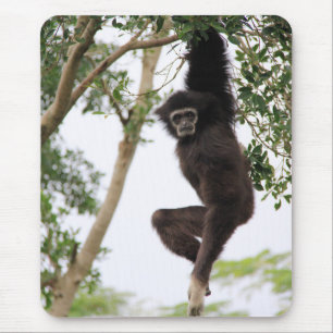 Gibbon Swinging from Tree Mousepad