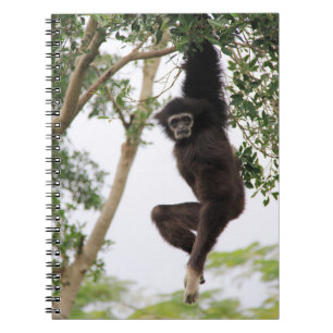 Gibbon Swinging from Tree Notizblock