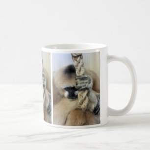GIBBON TASSE