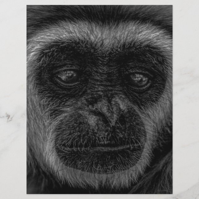 Gibbon Wildtiere indonesisches Säugetier (Vorderseite)