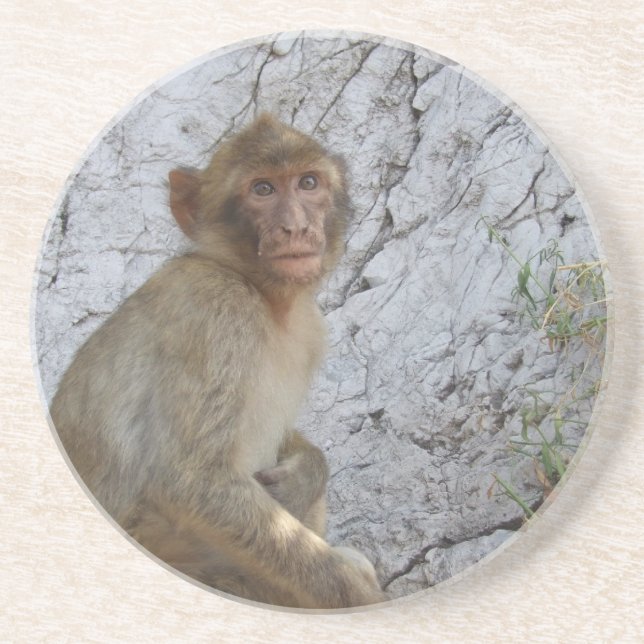 Gibraltar Monkey Untersetzer (Vorne)