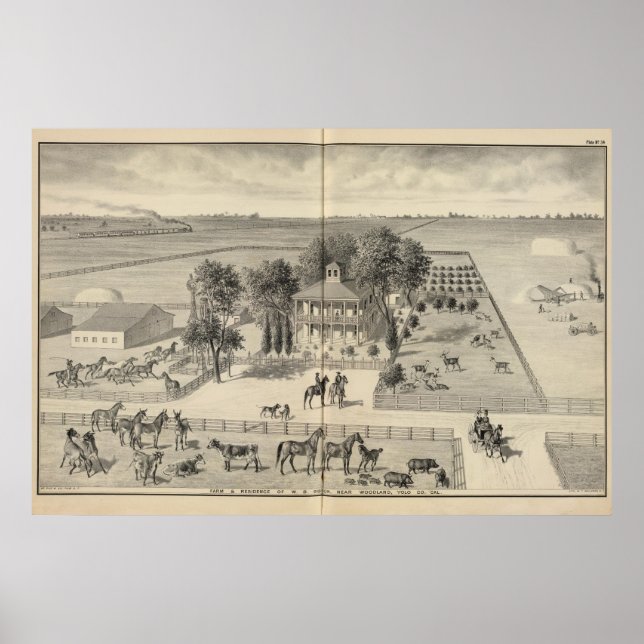 Gibson Farm, Woodland Poster (Vorne)