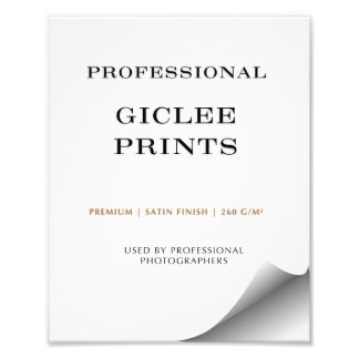 Giclee Art Prints - Professional Quality 260 g/m² Fotodruck