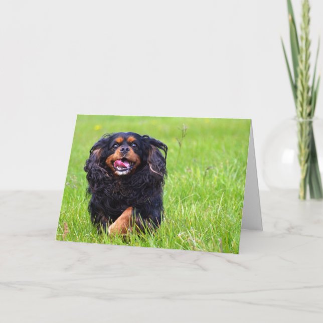 Gießer. Unbekümmerter Königcharles Spaniel Dankeskarte (Vorderseite)