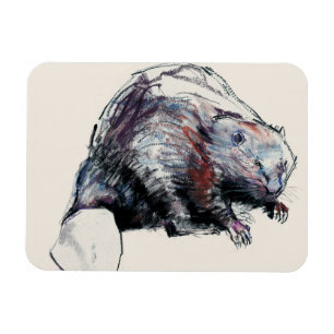 Gießmaschinen-Faser 2001 Magnet