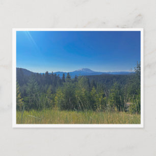 Gifford Pinchot National Forest Postkarte