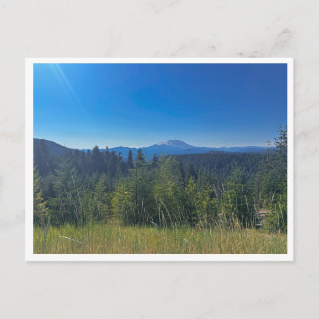 Gifford Pinchot National Forest Postkarte (Vorderseite)