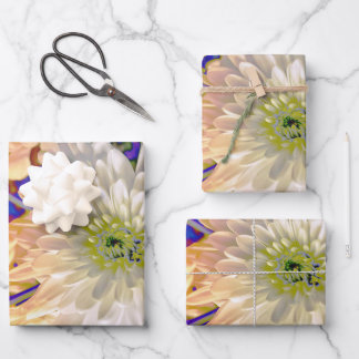 Gift Bag Geschenkpapier Set