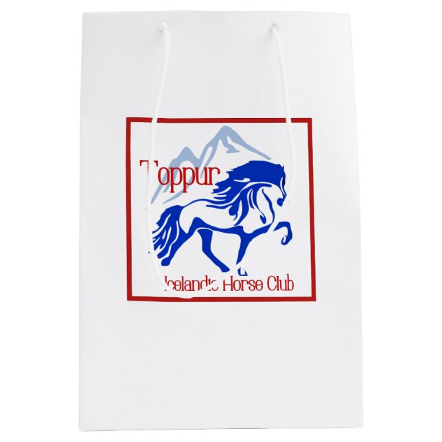 Gift Bag Mittlere Geschenktüte (Vorderseite)