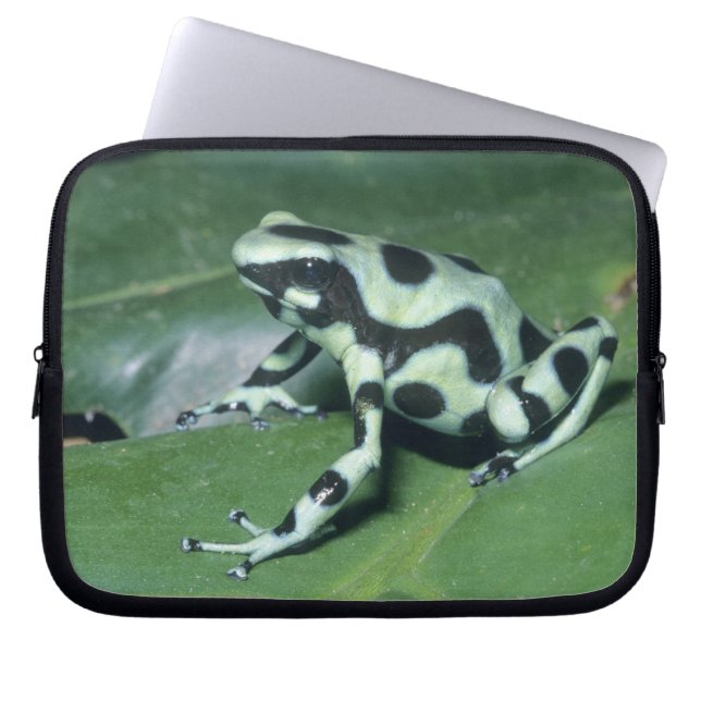 Gift-Dart-Frog (Dendrobates auratus) Cahuita Laptopschutzhülle (Vorderseite)