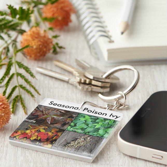 Gift-Efeu-Schlüsselanhänger Schlüsselanhänger (Vorderseite rechts)