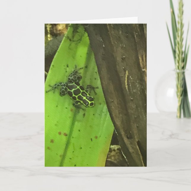 Gift-Grüner Frosch Feiertagskarte (Vorderseite)