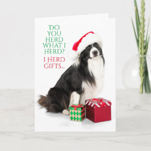 Gift Herding Border Collie With Santa Hat Feiertagskarte