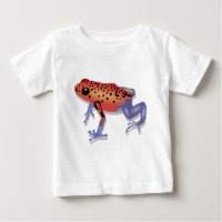 Gift-Pfeil-Frosch