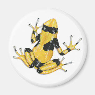 Gift-Pfeil-Frosch-Magnet Magnet
