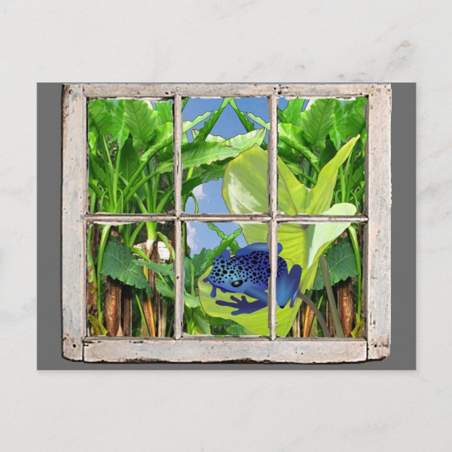 Gift-Pfeil-Frosch Postkarte (Vorderseite)