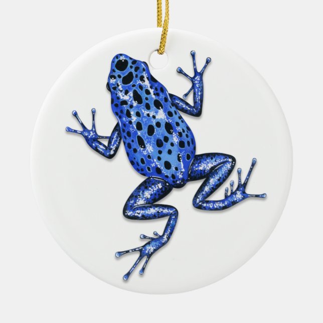 Gift-Pfeil-Frosch-Verzierung Keramik Ornament (Vorne)