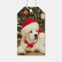 GIFT TAG WHITE Labrador Retriever MIT Weihnachtsma