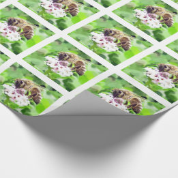 Gift Wrap - Honey Bee on Clover Geschenkpapier