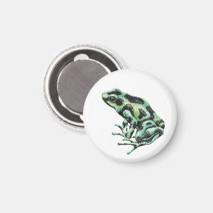 Giftdarmfrosch Magnet