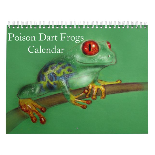 Giftdartfrosch-Kalender 2025 Kalender (Titelbild)