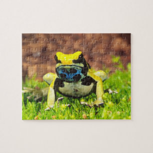 Giftfrosch, Dendrobate, Tinktorius, Puzzle