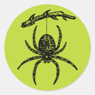Giftgrüne Spinne Klassischer Rundsticker Runder Aufkleber