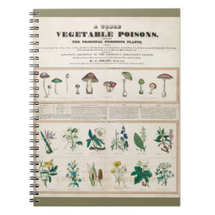 Giftige Pilze: Reizende Gifte Notizblock