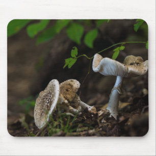 Giftige Schönheit Mousepad