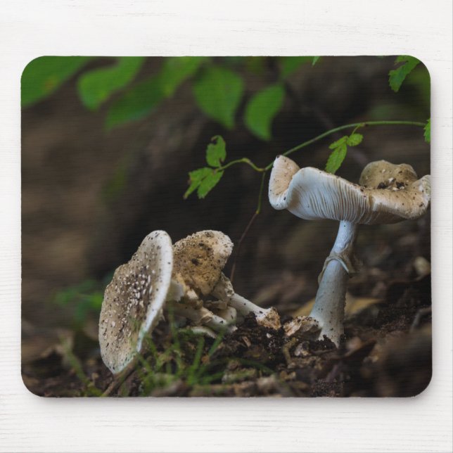 Giftige Schönheit Mousepad (Vorne)