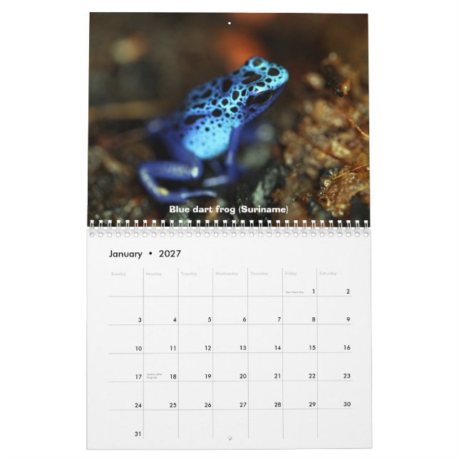 Giftpfeil-Froschkalender Kalender (Jan 2027)
