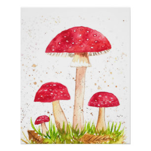 Giftpilz Pilzwald Aquarell Rot Natur Poster