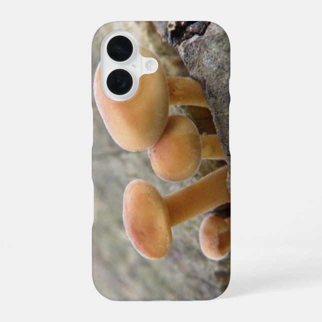 Giftpilze auf einem Baumstamm iPhone 16 Hülle (Rückseite)