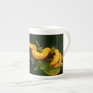 Giftschlange aus Costa Rica Prozellantasse