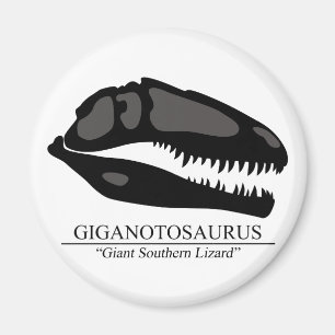 Giganotosaurus-Schädel Magnet
