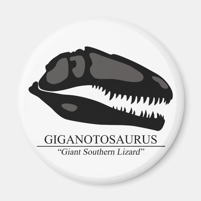 Giganotosaurus Skull Magnet (Vorne)