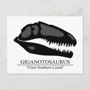 Giganotosaurus Skull Postkarte