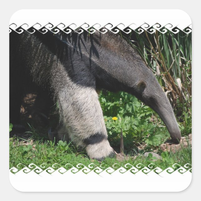 Gigant Anteater Foto Sticker (Vorderseite)