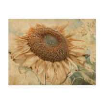 Gigantische Sonnenblumen Gelb Alte Vintage Dekorat