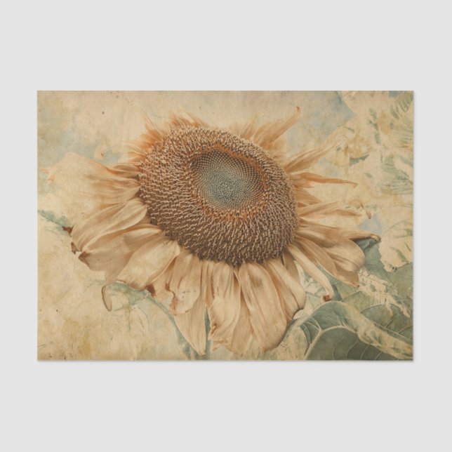 Gigantische Sonnenblumen Gelb Alte Vintage Dekorat Seidenpapier (Vorderseite)