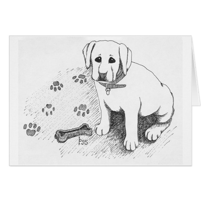 Gigi der Labrador (Vorderseite (Horizontal))